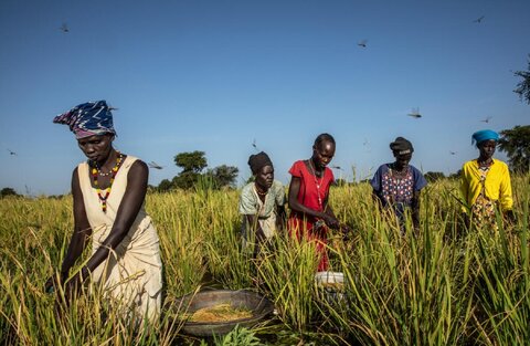 East Africa Faces Rising Hunger, Conflict, Climate Changes | Mirage News